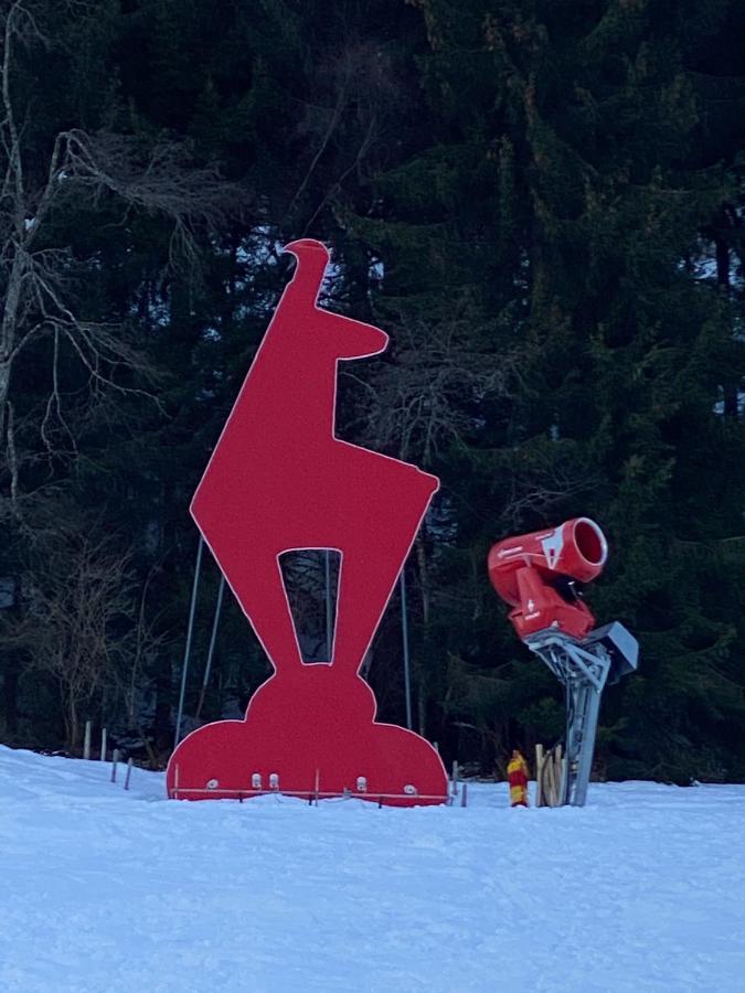 TirolApart am Lift Lägenhet Jochberg Exteriör bild